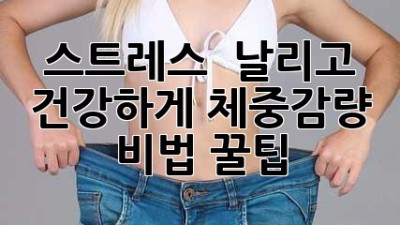 스트레스 💣 날리고 🥳 건강하게! 체중감량 비법 꿀팁 🍯